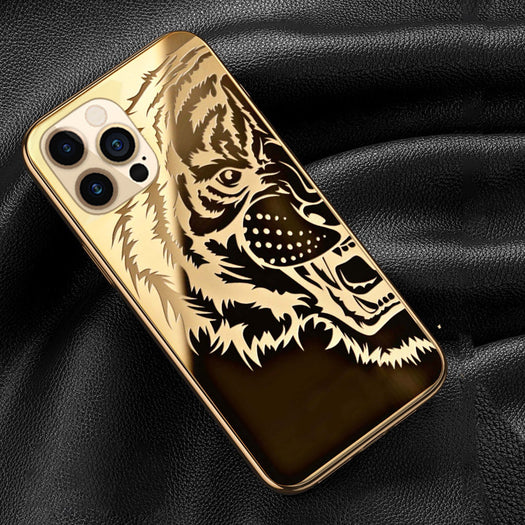 The Luxurious Tiger Back Case With Golden Edges For iPhone 11 Pro
